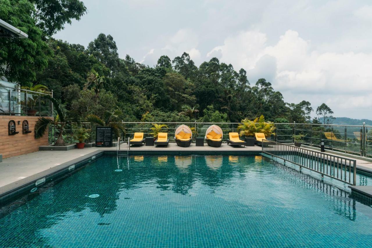 ザ パノラミック ゲートウェイ ホテル ムンナール エクステリア 写真 The swimming pool at the resort
